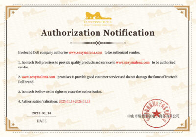 Authorizetion Irontech Doll 2025