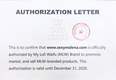 Authorizetion MLW 2025