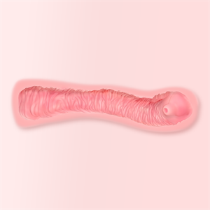 Fanreal Vagina texture 01