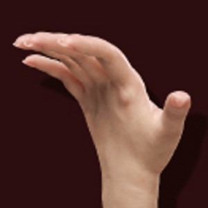 Reversed Finger Bones