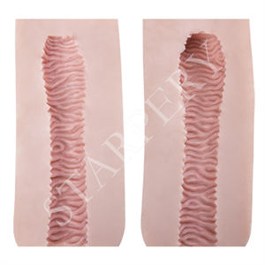 Starpery Vaginal Type B