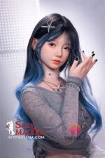SH211 (11)
